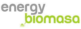 Energy Biomasa